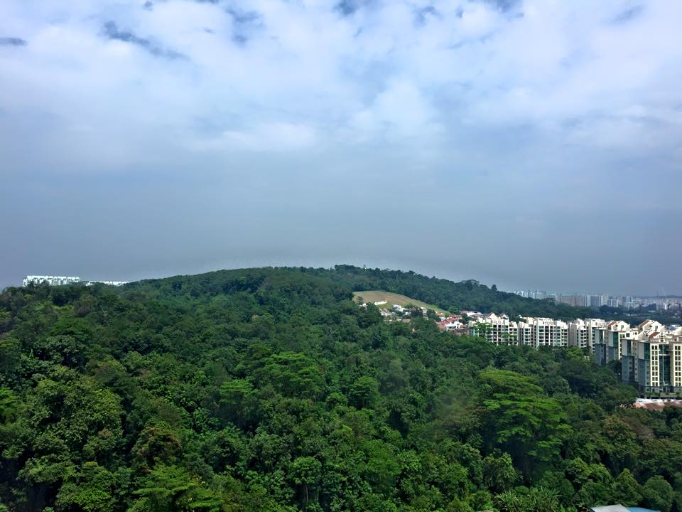 Nhà tôi lộng gió, chó lộng hành :))